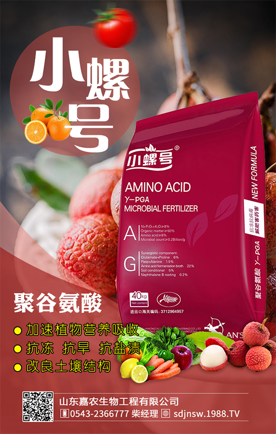 金針菇什么時間栽培？金針菇生長條件！