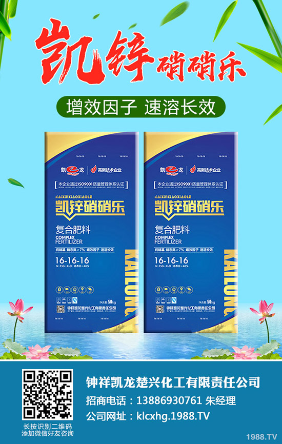 草莓肥害是什么原因，如何避免草莓肥害的發(fā)生？