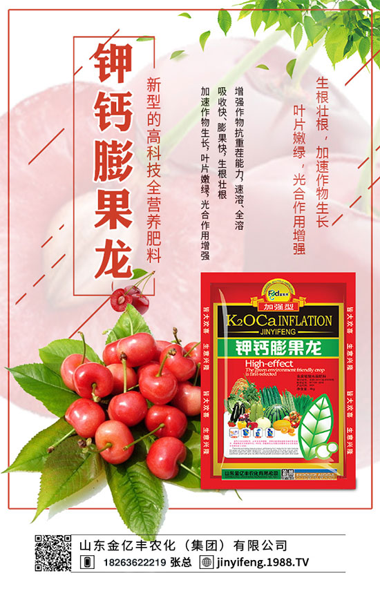 荔枝什么時間種植？荔枝怎么種植？