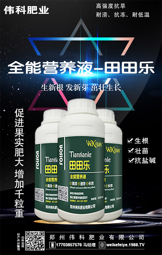     ���ӵĠI(y��ng)�B(y��ng)�r(ji��)ֵ����Щ����Ч�c��������Щ��������Щ��Ⱥʳ�ã�