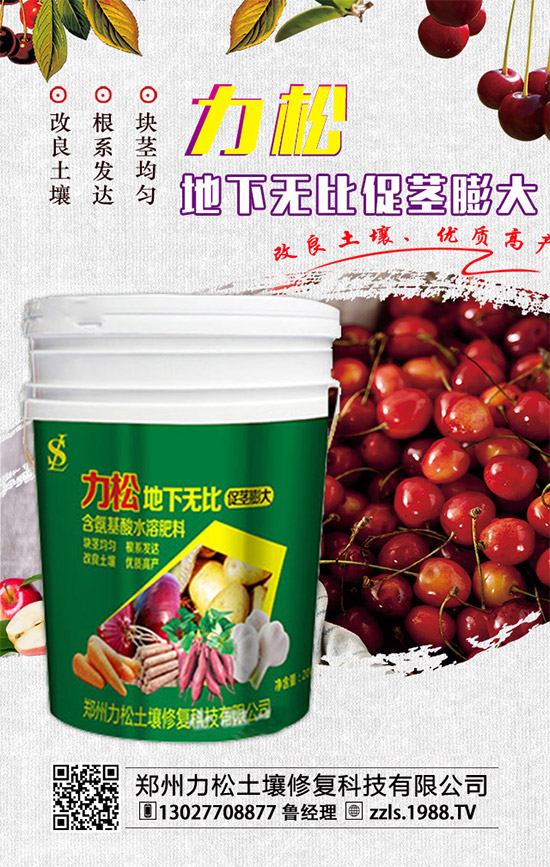     2019-12-4二銨冬儲推進動力不足！二銨價格行情分析快報！