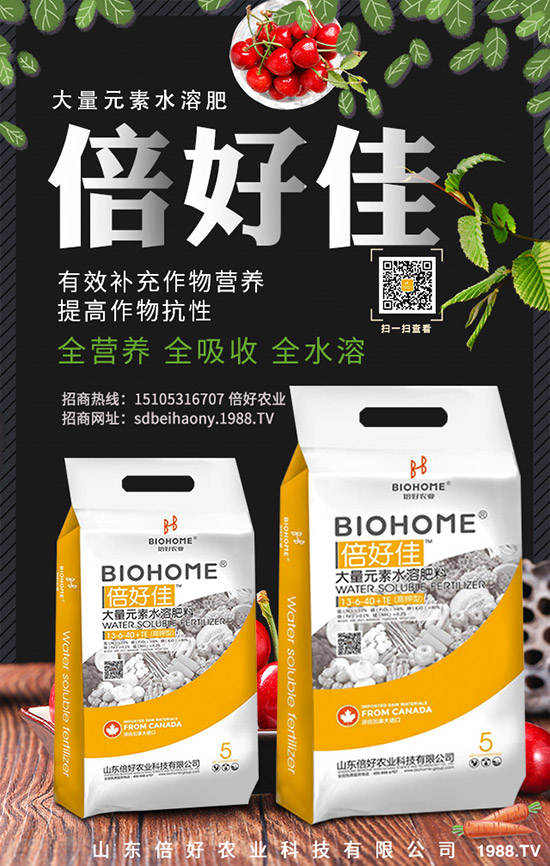     尿素小漲！是不是拿貨好時(shí)期！2019年12初尿素行情預(yù)測(cè)！