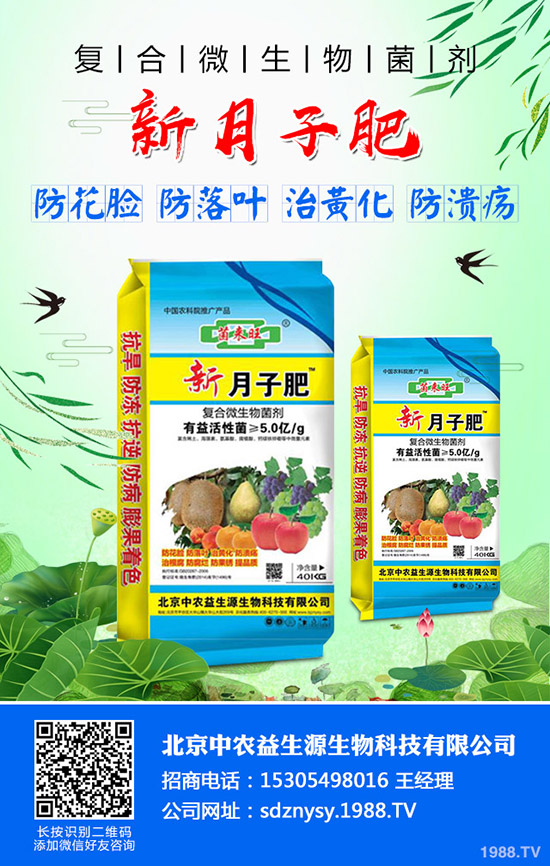     2019-12-5二銨行情走勢(shì)平淡！今日磷酸二銨價(jià)格早報(bào)！