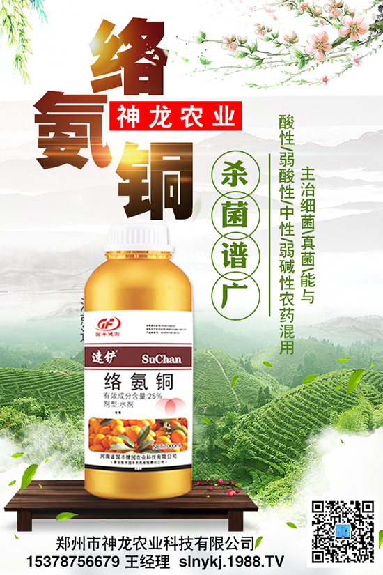 ���Ϻò������|�����P�I��Ч���������������Ҫ��