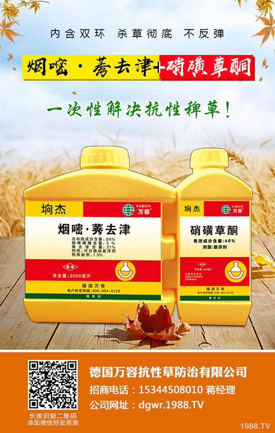 ������Nֲ�ļ���(ji��)�����Ӹ߮a(ch��n)�NֲҪ�c(di��n)��