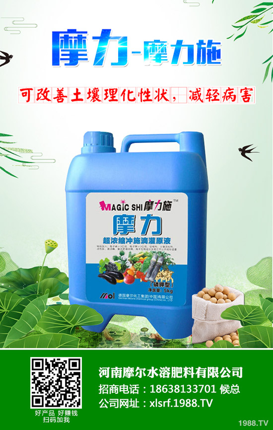 甜瓜用什么肥料好，甜瓜施肥技術(shù)有哪些？