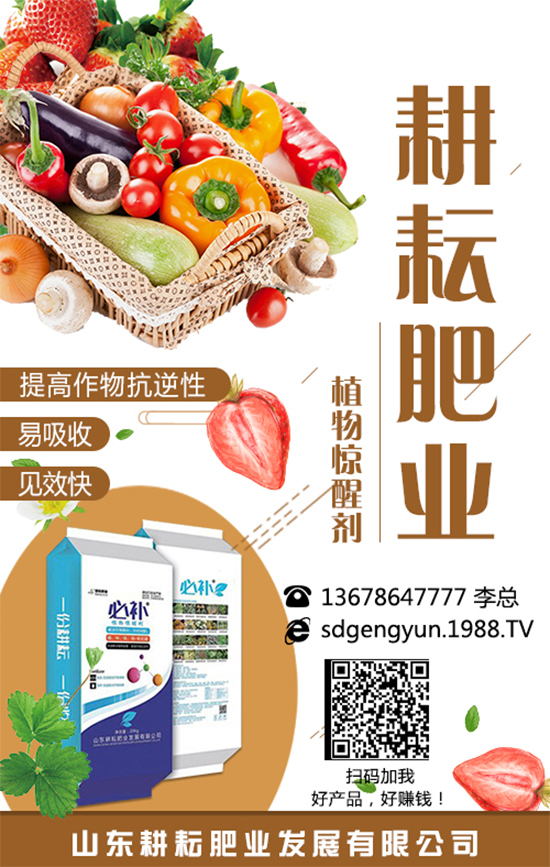 ���؃r(ji��)����m(x��)�»������վֲ��^(q��)�������Ј�����2019��8��13��