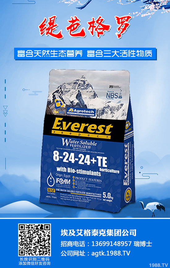 ����ʲô�r(sh��)�g�������������緽��