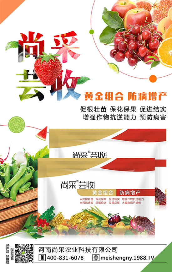 ����(sh��)�����ʵ͵�ԭ����ʲô��������(sh��)��������������