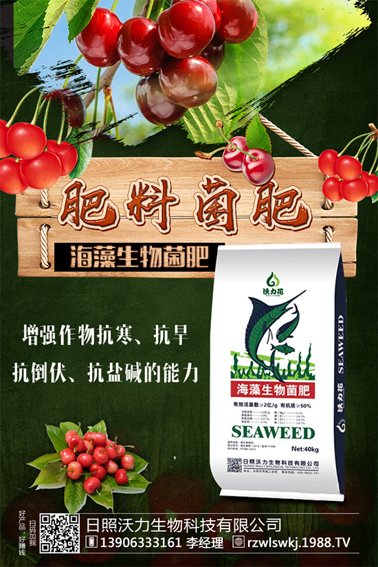 豆角要不要打尖？豆角的打尖方法有哪些？