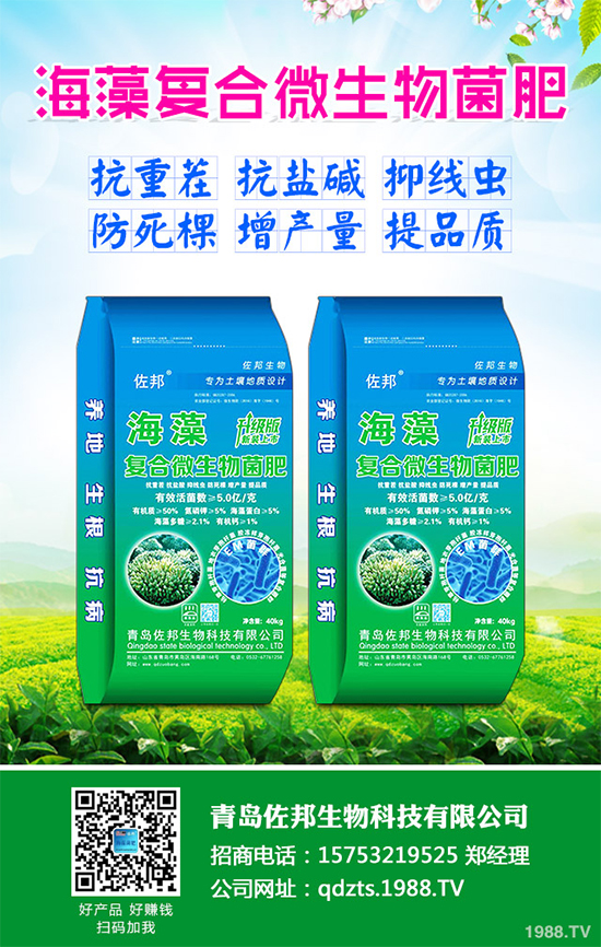     芹菜是日常生活中常見的蔬菜品種，對種植環(huán)境要求相對較高，只有在黏性土壤上才可以正常的生長。那么，芹菜什么時候種植比較好？大棚芹菜該如何種植呢？