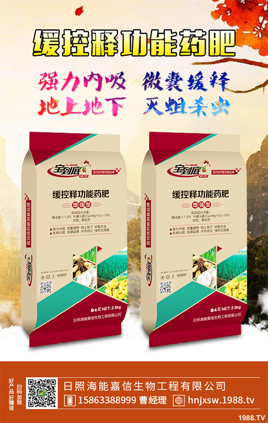 芹菜該如何種植？注意些什么？芹菜高產(chǎn)種植方案