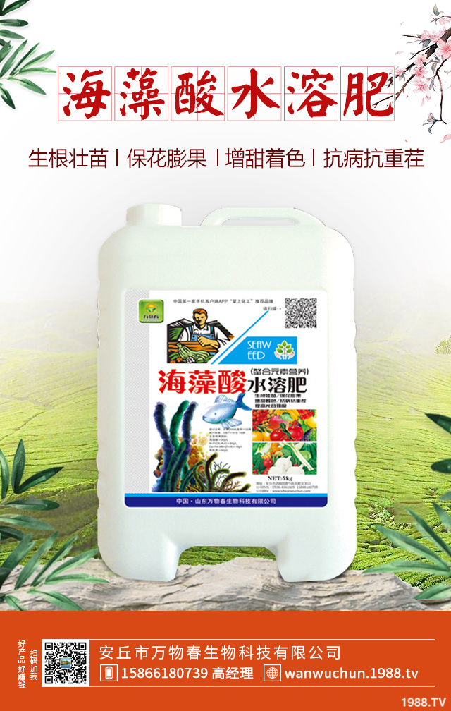 紫皮蒜怎么種植？紫皮蒜的種植管理方法