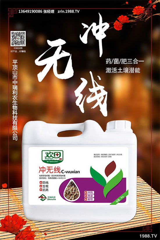 如何進行黑木耳定植與發(fā)菌管理？黑木耳種植注意事項！