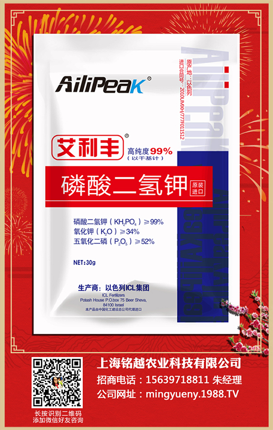 芹菜有哪些營(yíng)養(yǎng)價(jià)值？吃芹菜的好處有哪些？快來(lái)看看吧！