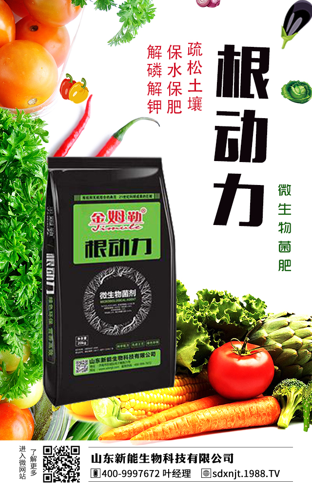 馬鈴薯需肥量大，如何給馬鈴薯施肥？