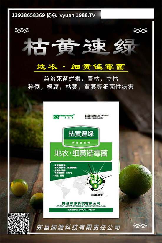 芹菜早疫病有哪些危害？是如何發(fā)生的？芹菜早疫病的發(fā)生與防治