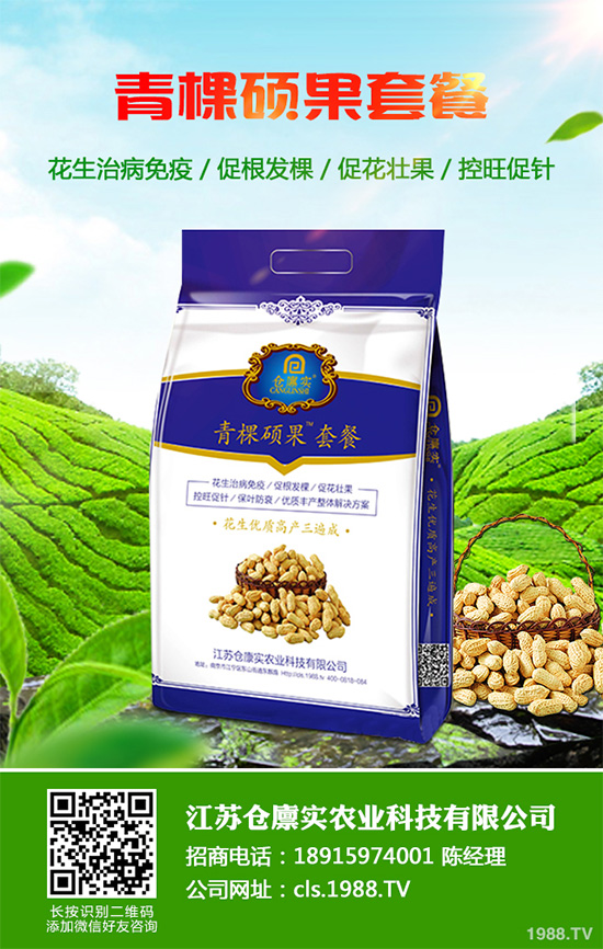 芹菜病毒病危害巨大，到底該如何防治？芹菜病毒病的防治措施