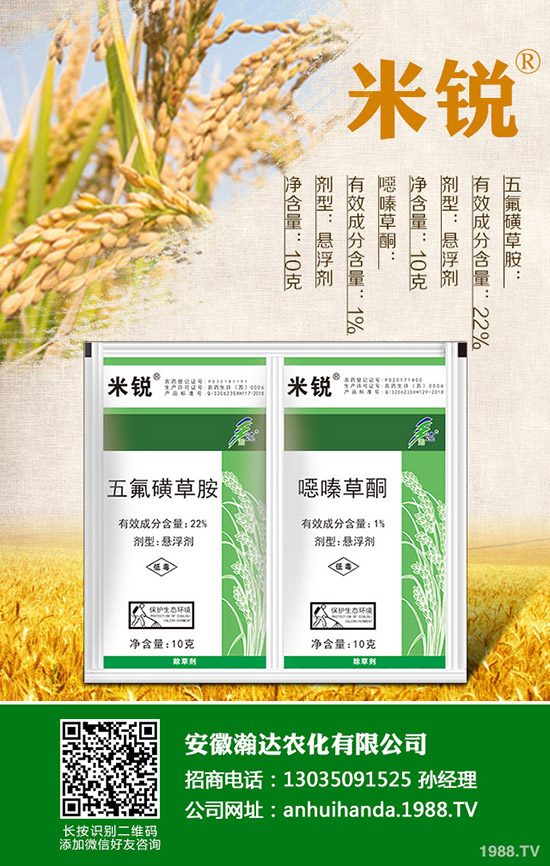 吃菠菜有哪些好處？菠菜的營(yíng)養(yǎng)價(jià)值有哪些？