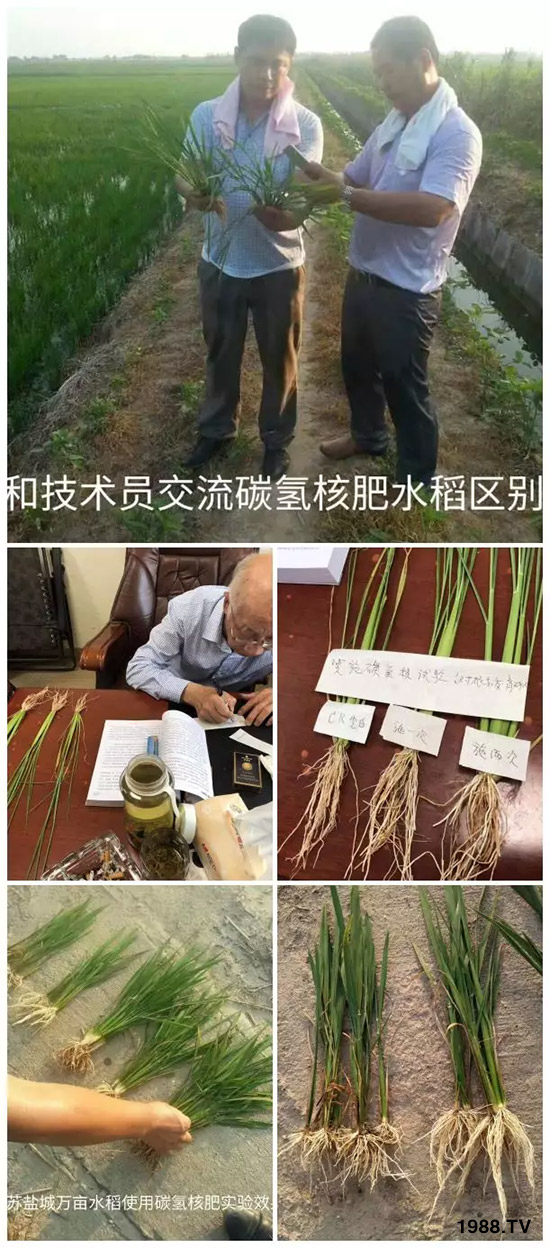 �ϰټ�ý�w��������쳬�^�W��ʳƷ�˜�������̼��˷ʾ����@ô�𱬣�