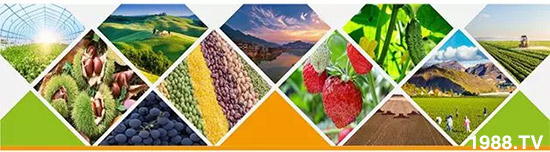 �����������L���߉��������ͷ���Ѹ������������ƌW���L���g�޴���