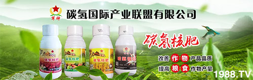 �����������L���߉��������ͷ���Ѹ������������ƌW���L���g�޴�