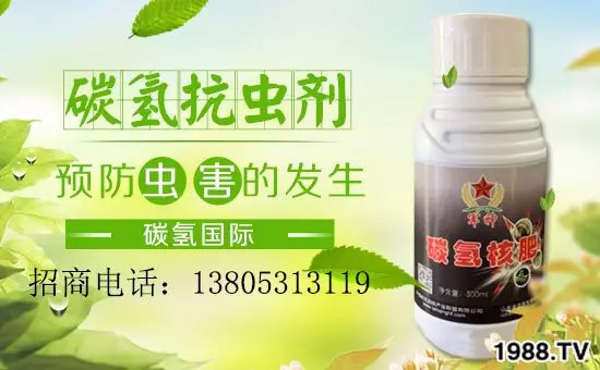 �����������L���߉��������ͷ���Ѹ������������ƌW���L���g�޴���