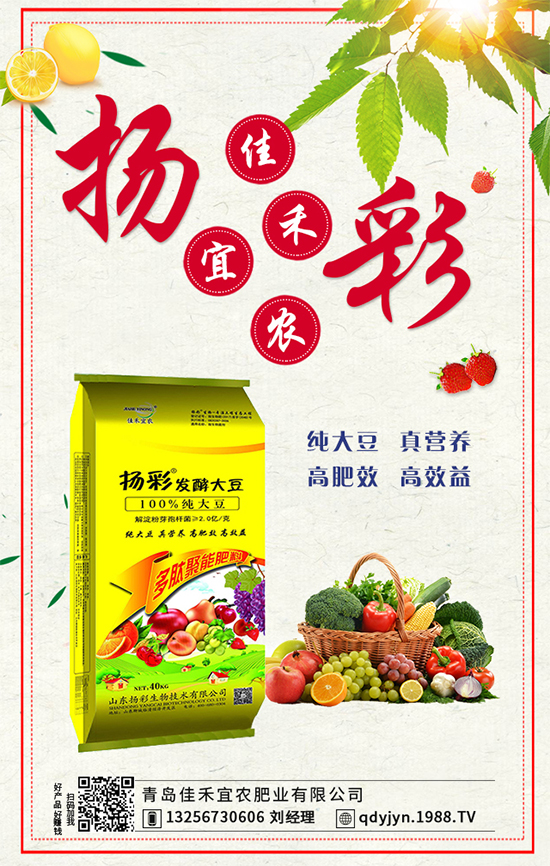 秋茬西紅柿要想產(chǎn)量高，如何澆水沖肥？