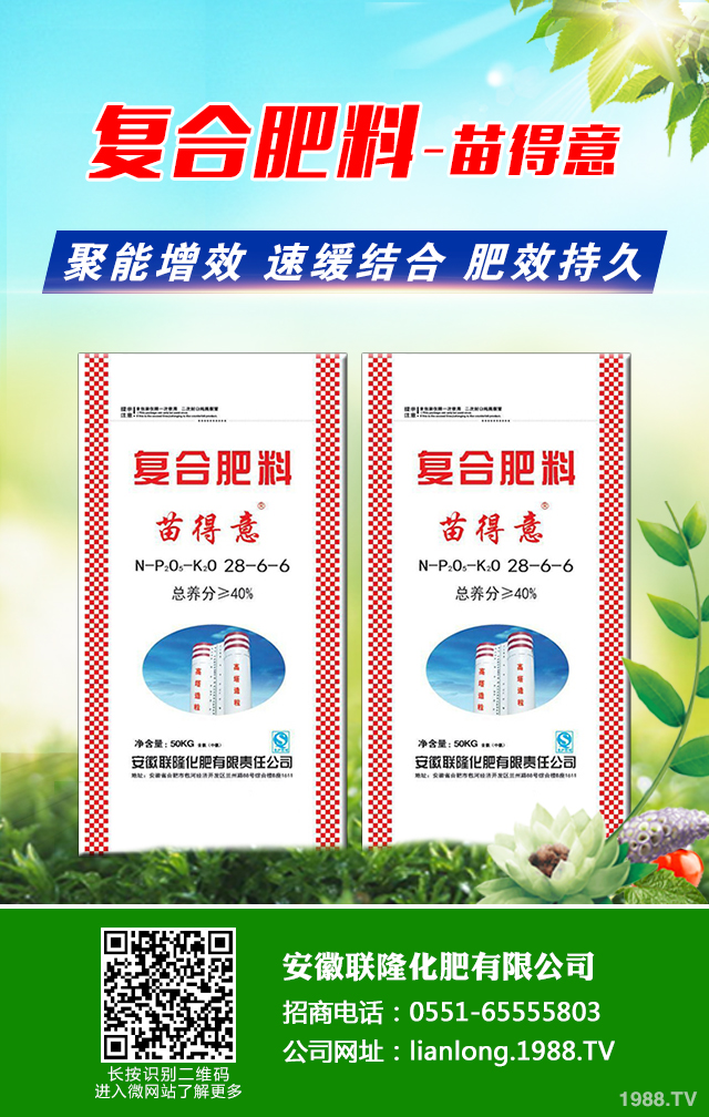 �t��������ô�������t������ȫ�����