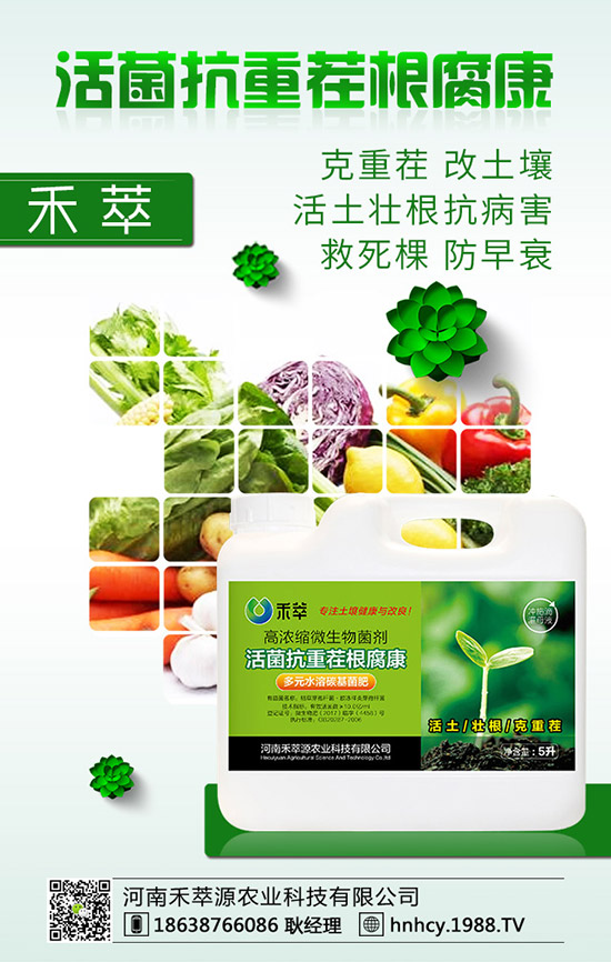 ����÷��ô�޽ӣ�����÷�޽ӷ�����