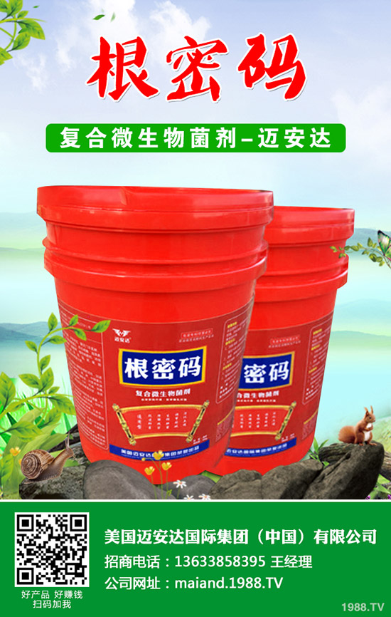 西葫蘆什么時(shí)候種植？西葫蘆種植技術(shù)！