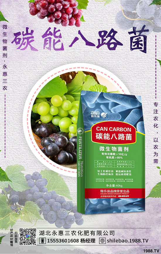     花菜什么時(shí)候種植合適？花菜種植時(shí)間及種植管理技術(shù)！