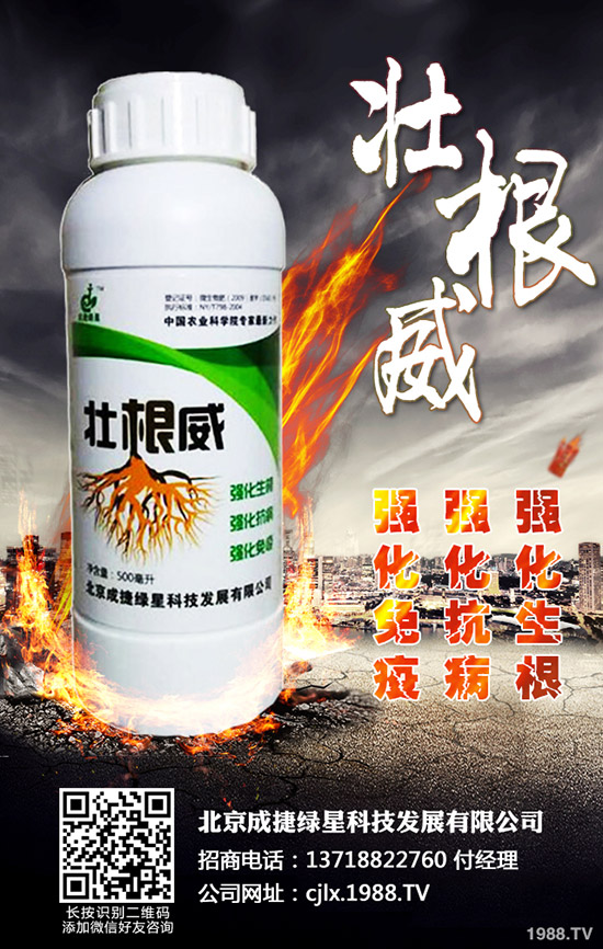 �ཷ�ķNֲ��������Щ���ཷ�Nֲ�^������Ҫע��Ď״��}