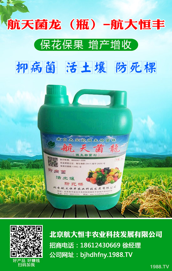 青蘿卜什么時候種植，青蘿卜栽培要點！