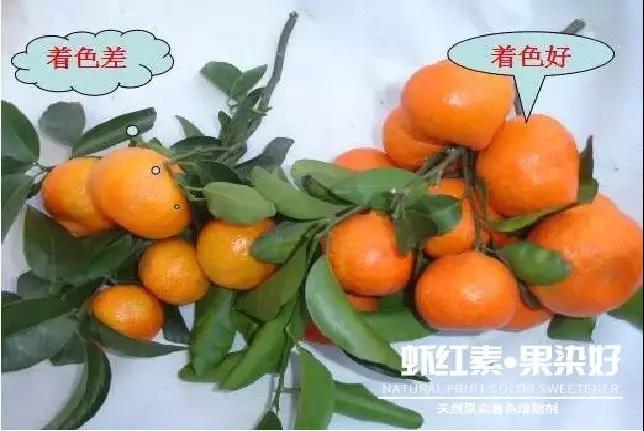 天然果實著色增甜劑——蝦紅素●果染好！