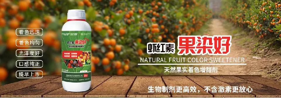 天然果實著色增甜劑——蝦紅素●果染好！