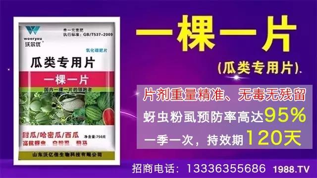 蚜蟲、飛虱防不住？一片藥輕松搞定！預(yù)防率95%，持效長達(dá)120天！