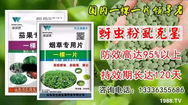 蚜蟲、飛虱防不住？一片藥輕松搞定！預(yù)防率95%，持效長達(dá)120天！