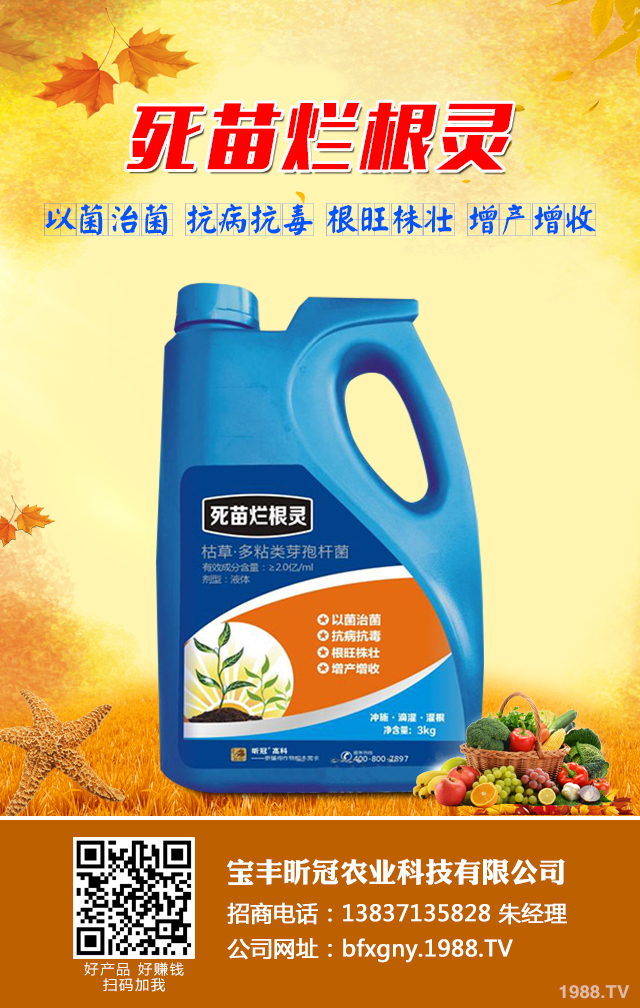 蔬菜苗期立枯病怎么辦？蔬菜苗期立枯病防治技巧