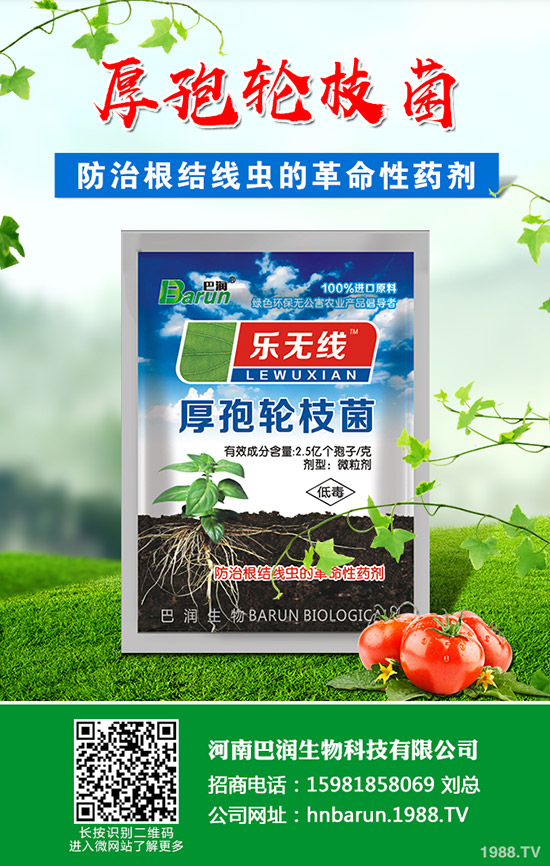 ��֦���~��ô�޼�����֦���~�޼�������