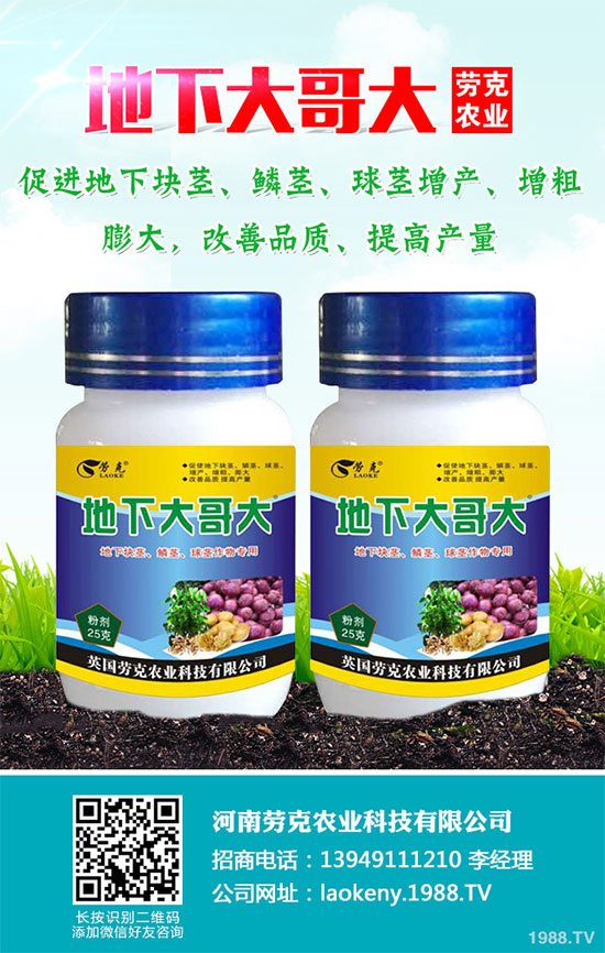 �������Щ�I�B(y��ng)�rֵ���Խ������Щ��̎����˵Ĺ�Ч�c����