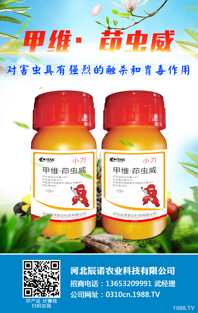 ��ľ��Ҋ���x��ô�k����ľ��Ҋ���x���A��