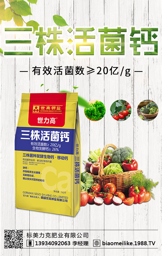 秋黃瓜什么時(shí)候栽培好，秋黃瓜栽培的注意事項(xiàng)！