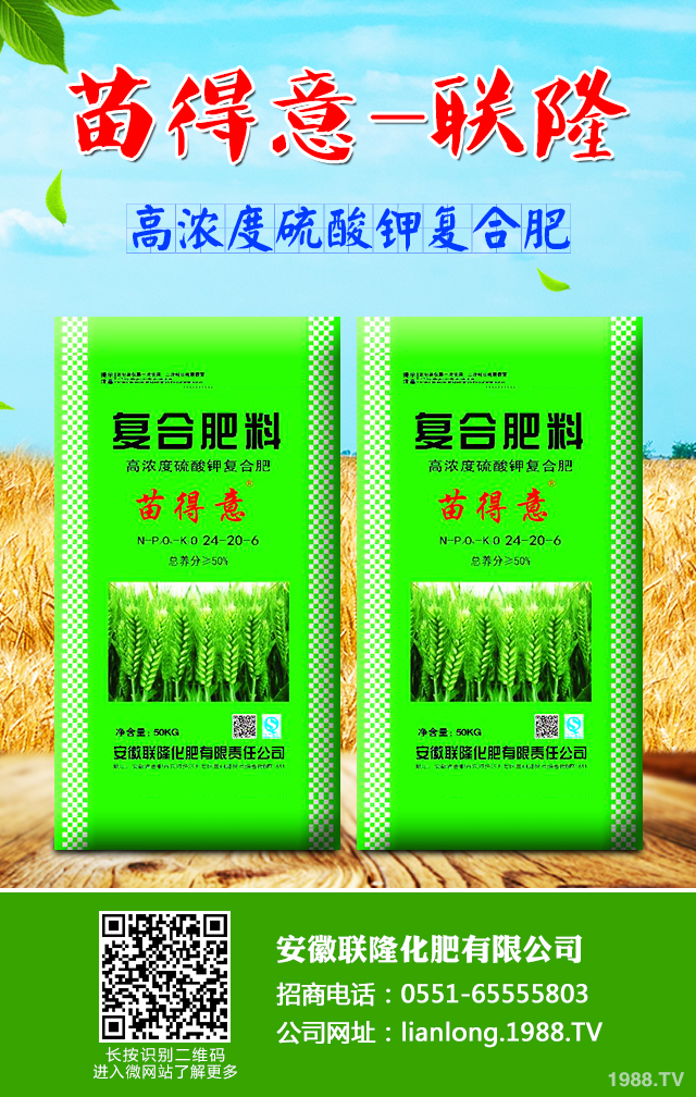 С����ô����Ч������С�����������g����