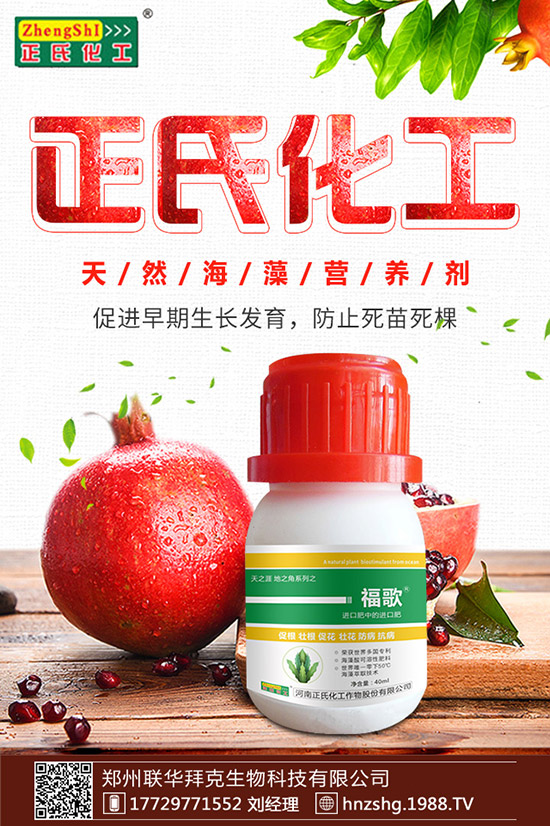 ���y����ʲô���������y���Ĺ�Ч�cʳ�ý��ɣ�