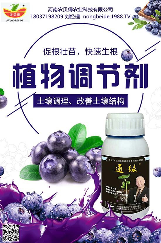 大蔥該如何育苗？育苗后大蔥管理方案