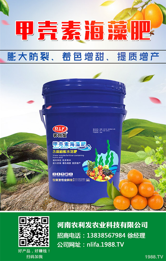 大蔥干尖是咋回事？怎樣解決？大蔥干尖的原因及防治