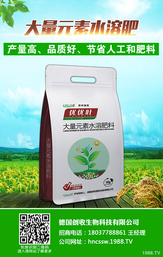     今日國內二銨價格行情走勢預測綜合評述2019年9月18日