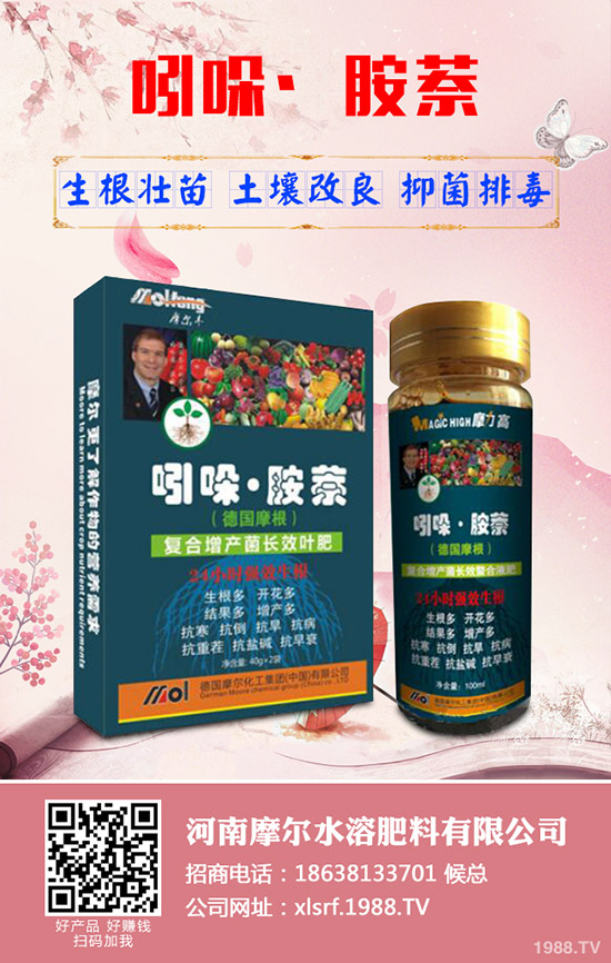 蓮藕怎樣才能高產(chǎn)，蓮藕的高產(chǎn)管理技術(shù)