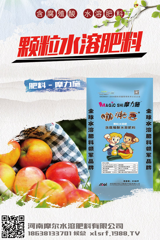 救心菜怎樣種植，救心菜的種植方法與日常管理